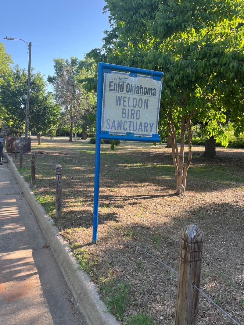 walking near me in Weldon Park (Bird Sanctuary) in spring