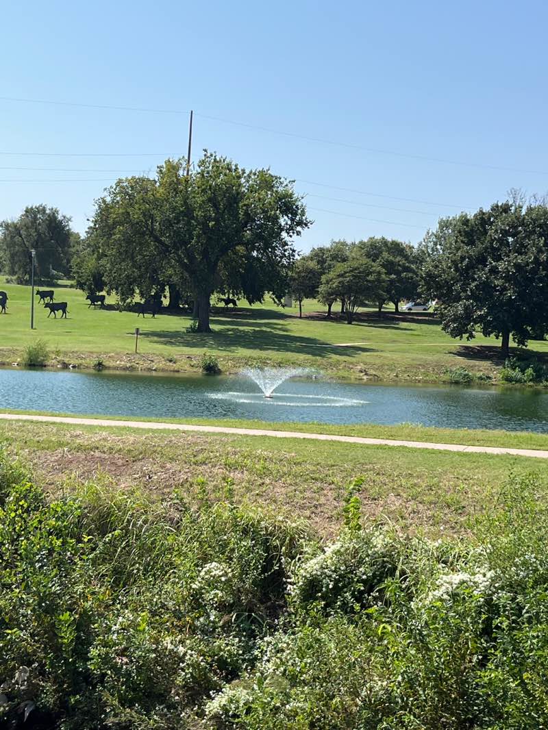 walking near me in Government Springs Park in autumn