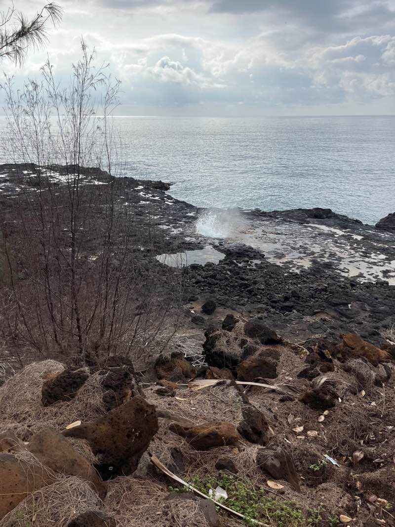 walking near me in Spouting Horn Park in winter