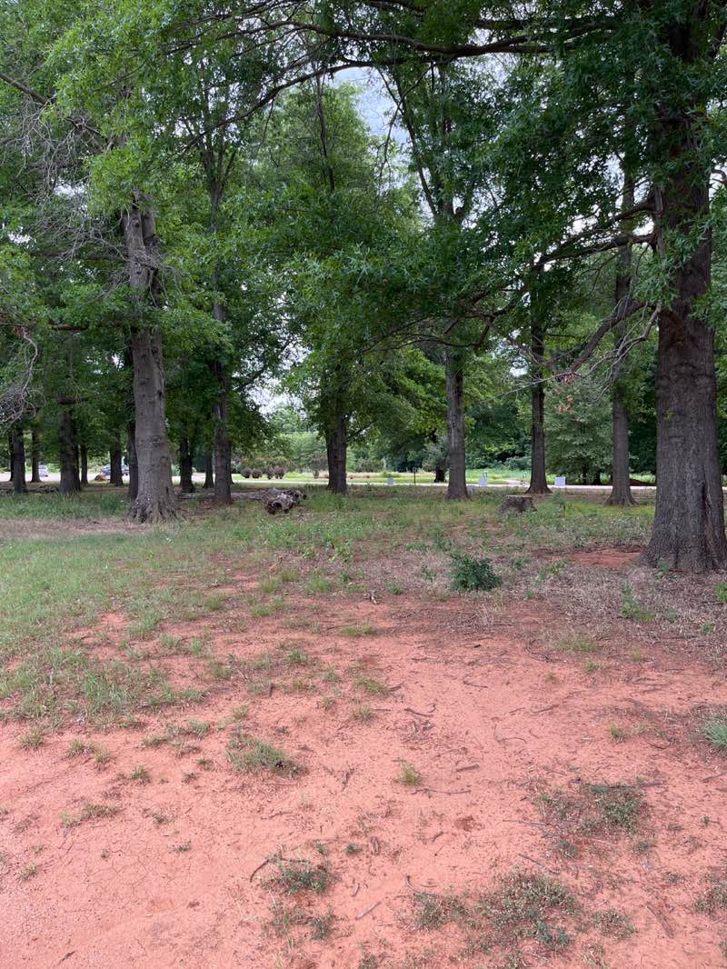 walking near me in The Botanic Garden at Oklahoma State University in summer