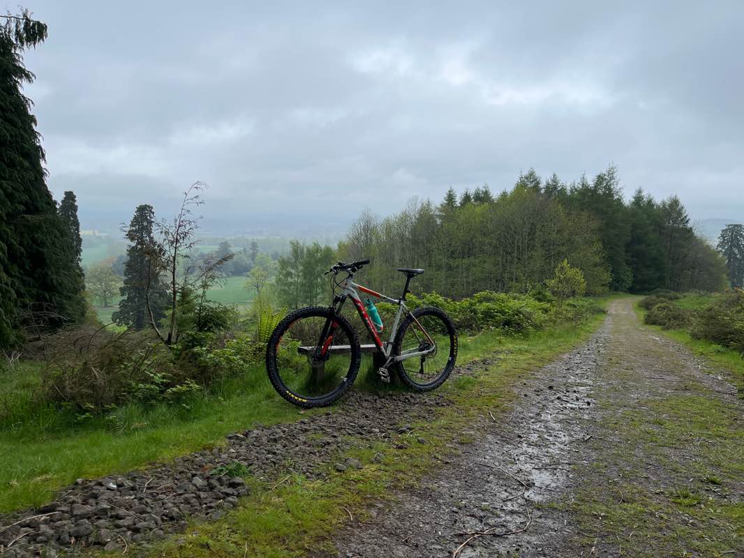 walking near me in Garnstone Park in winter