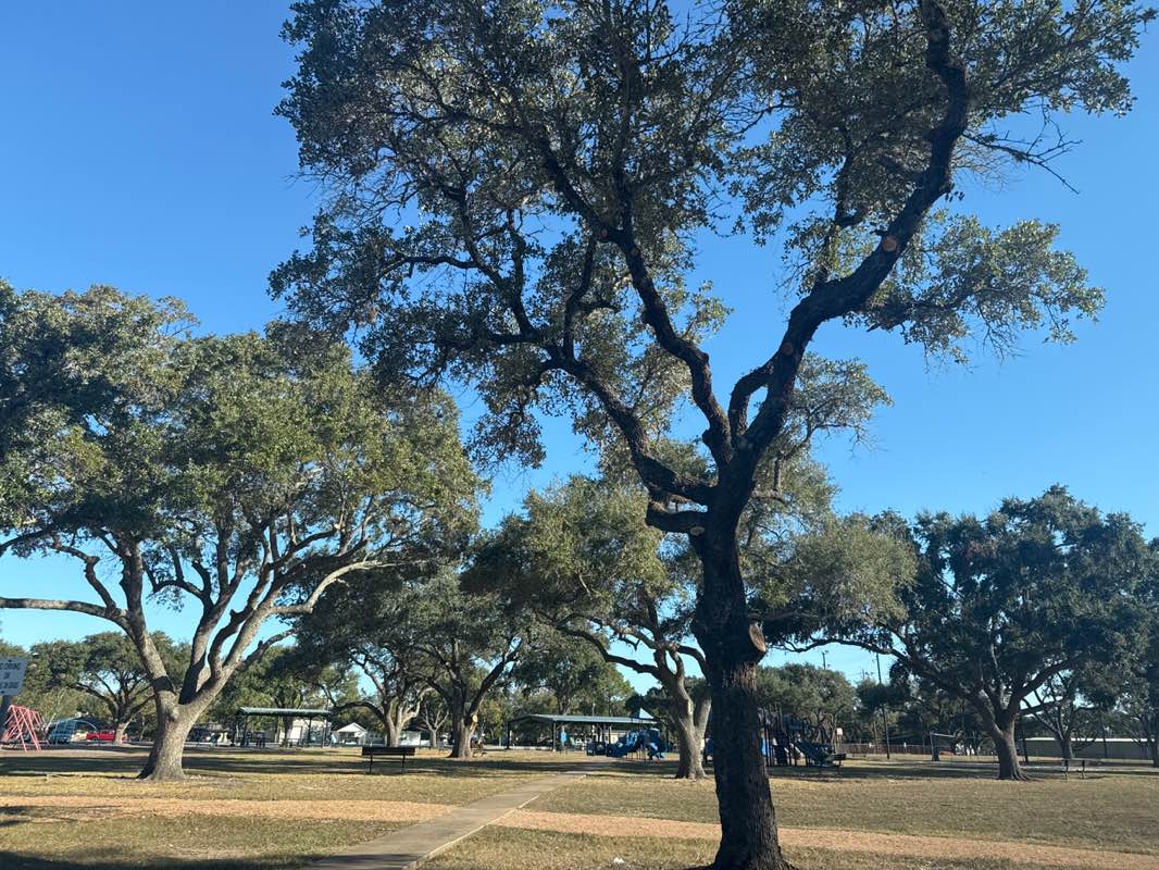 walking near me in Sunset Park in autumn