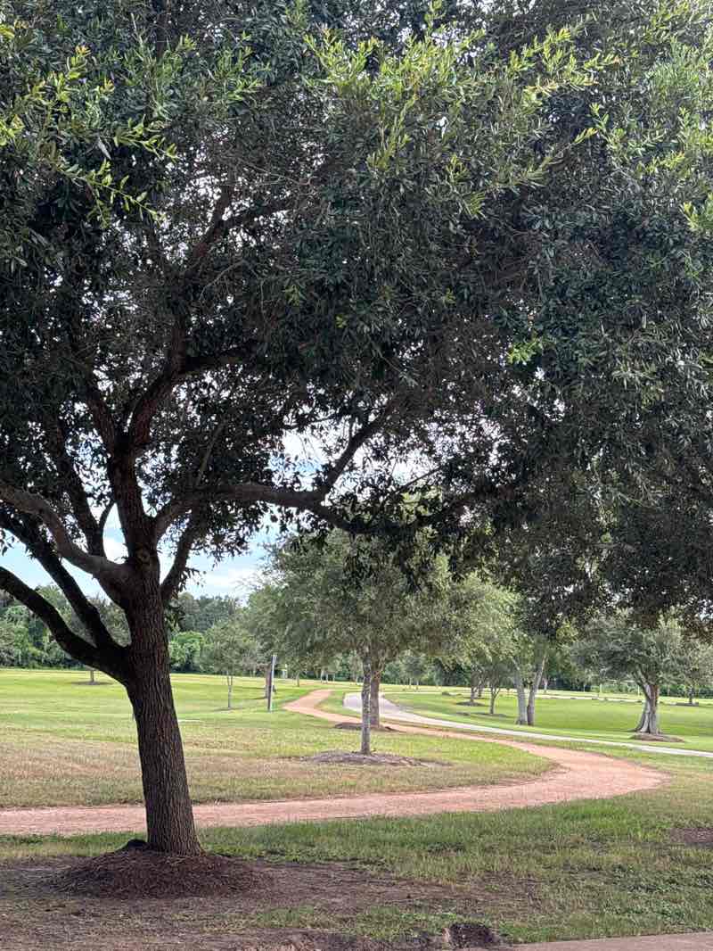walking near me in Pecan Grove Park in autumn