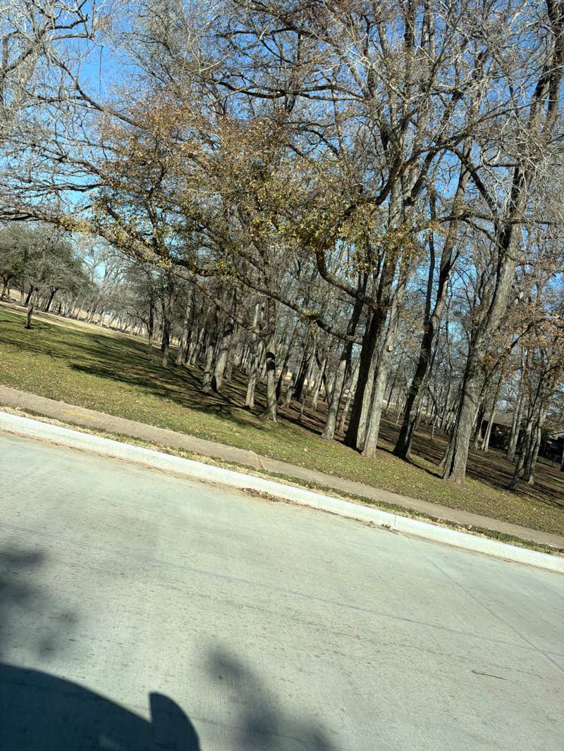 walking near me in Pecan Grove Memorial Park in winter