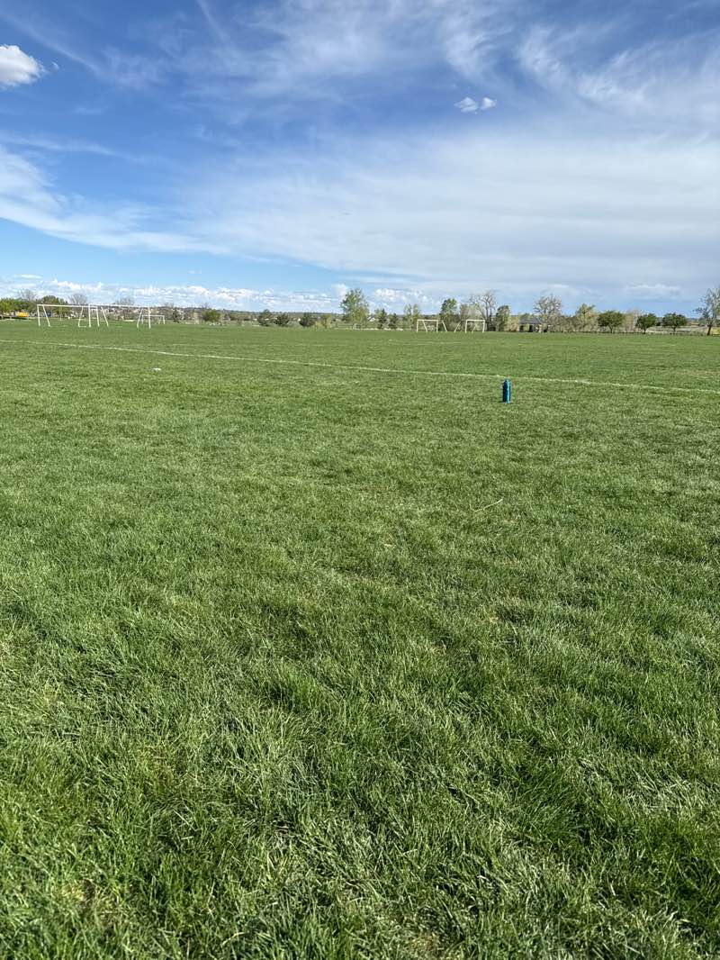 walking near me in Broomfield County Commons Park in spring