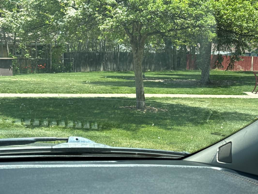 walking near me in Torii Square Park in spring