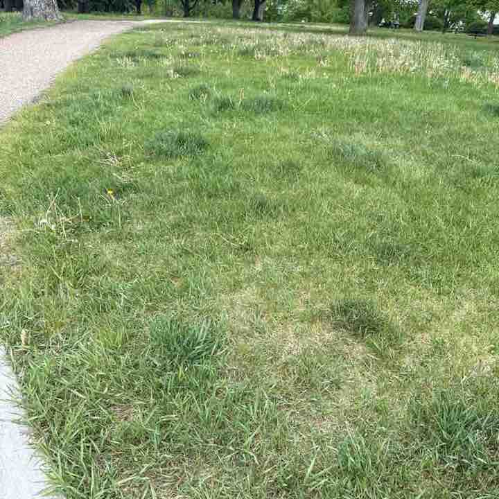 Super Mario Tinoco post 1