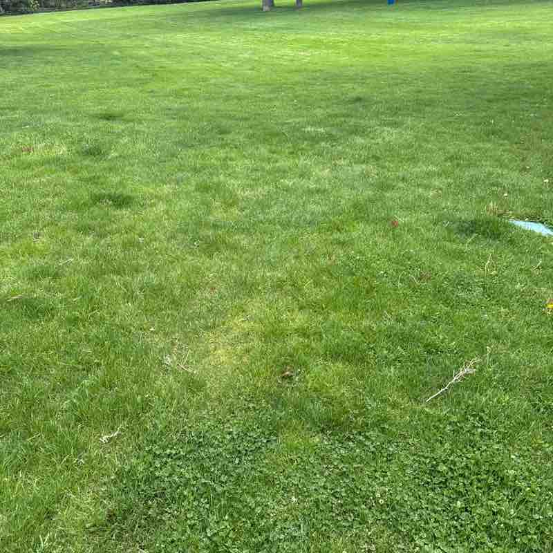 Super Mario Tinoco post 1