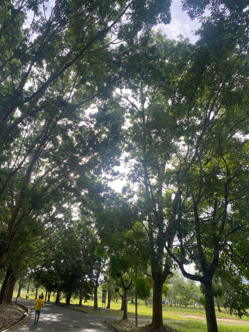 walking near me in Likas Sport Leisure Park in autumn