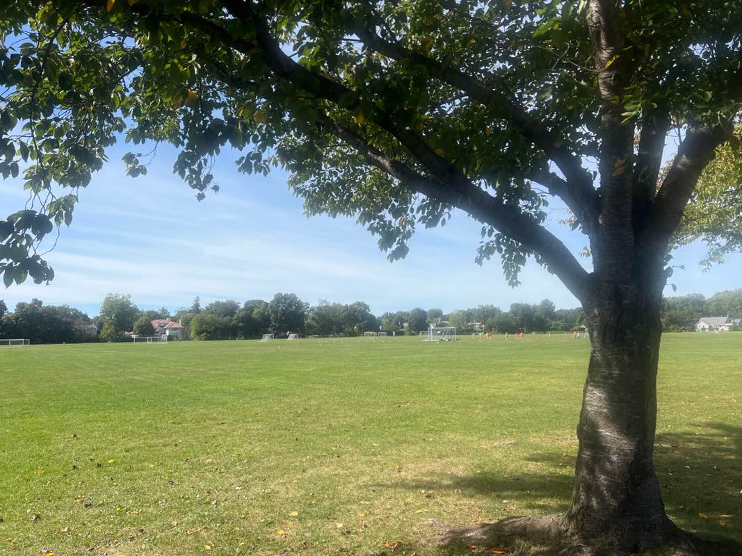 walking near me in St. Paul's Recreation Complex in autumn