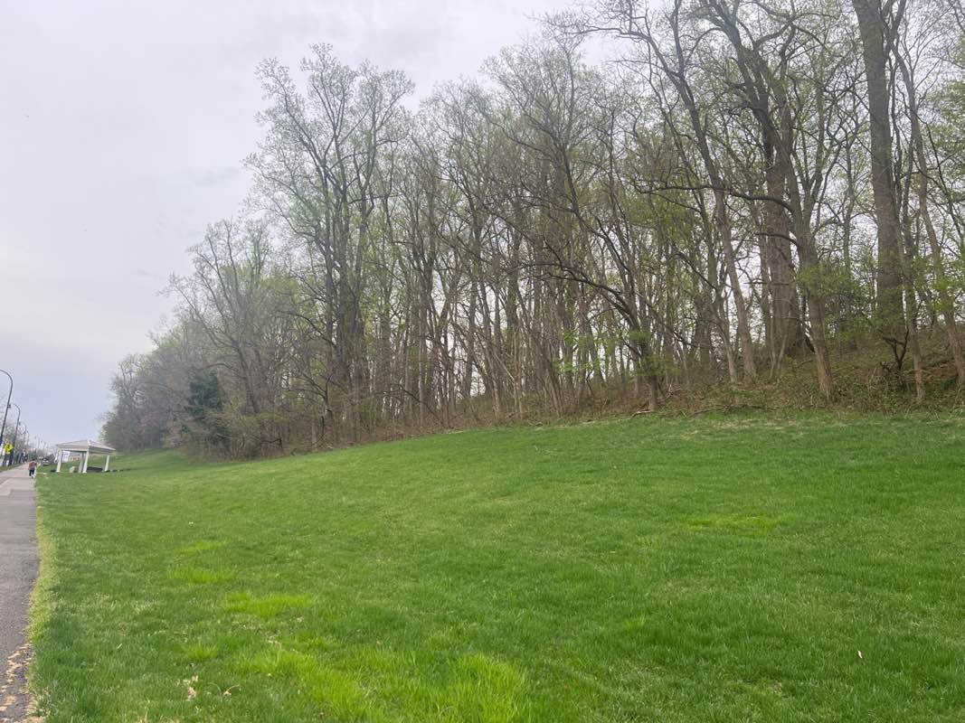 walking near me in Oxon Hill Manor in spring