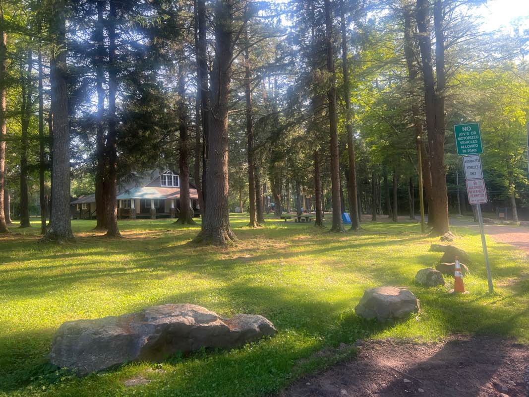 walking near me in Blanche D. Price Memorial Park in summer