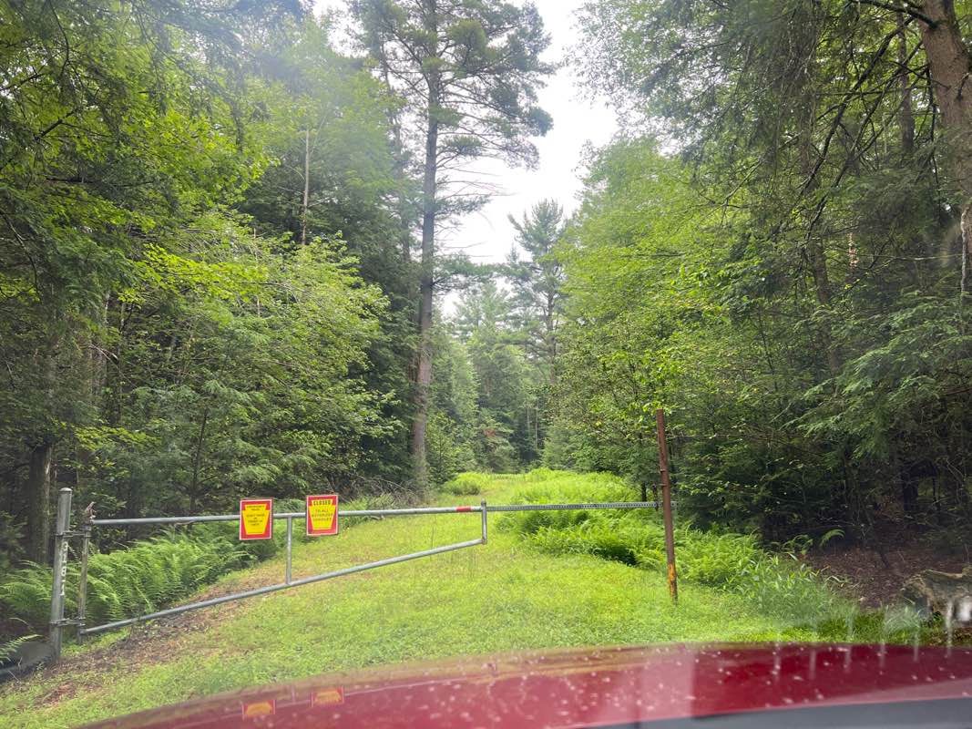 walking near me in State Game Lands Number 318 in summer