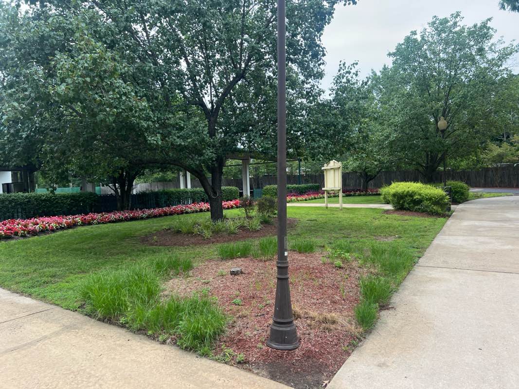 walking near me in Catering Picnic Grove in autumn