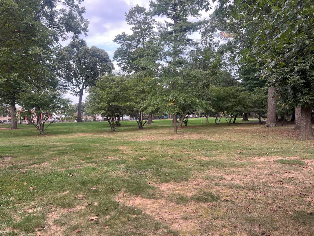 walking near me in McCarter Park in autumn