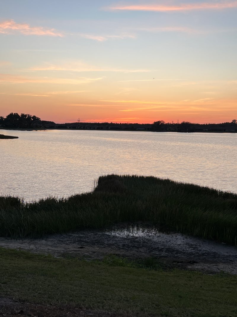 walking near me in Starkey Ranch District Park in winter