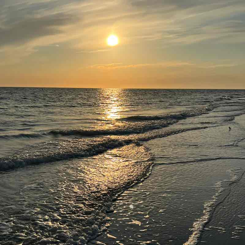 Chris Weezorak post 2