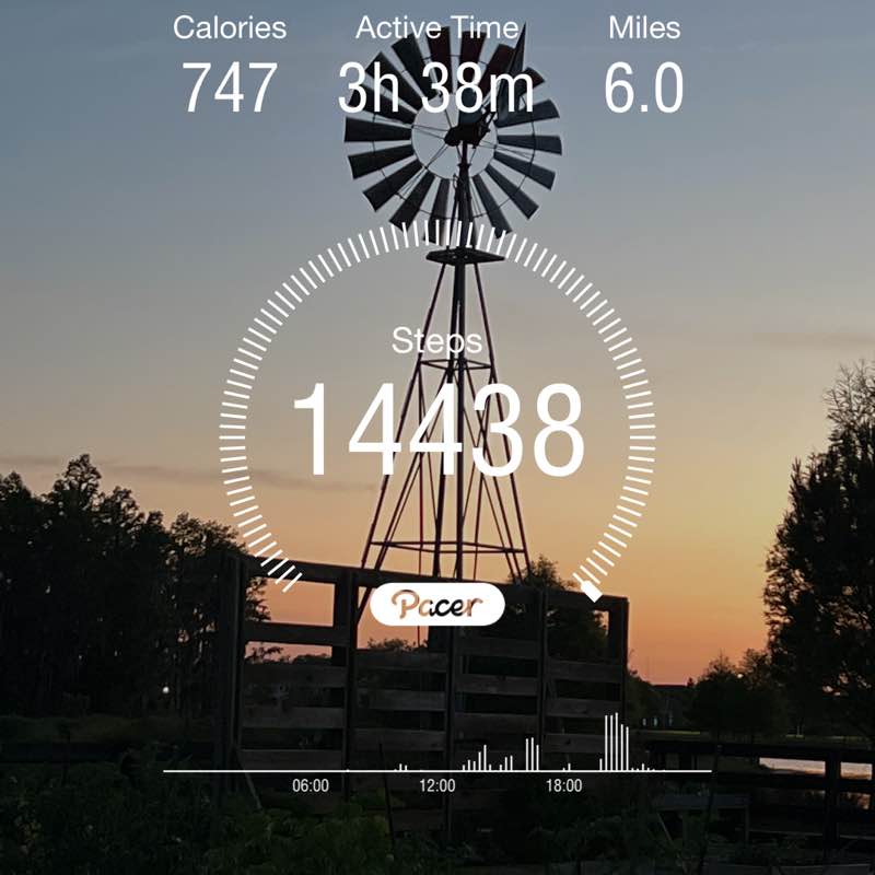 Chris Weezorak post 1