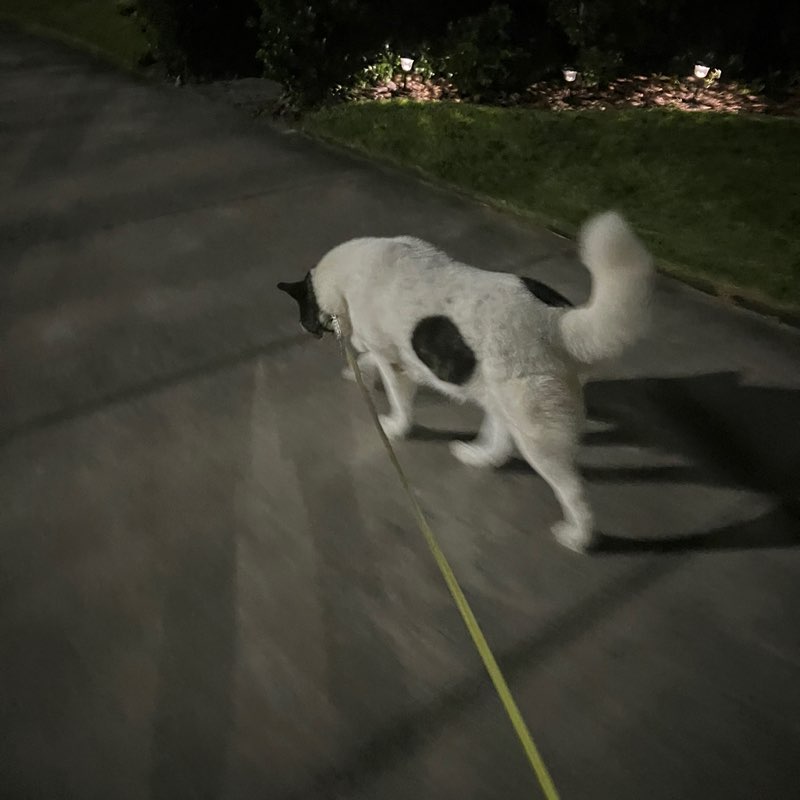 Chris Weezorak post 2