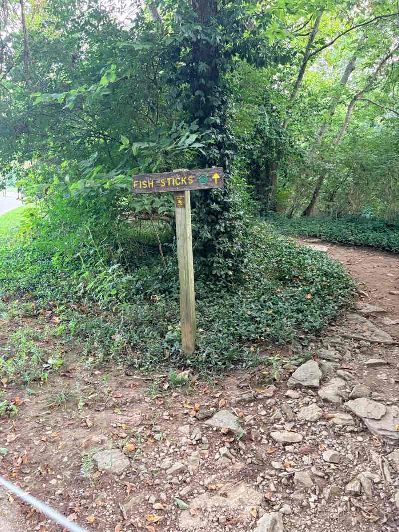 walking near me in Veterans Park in summer