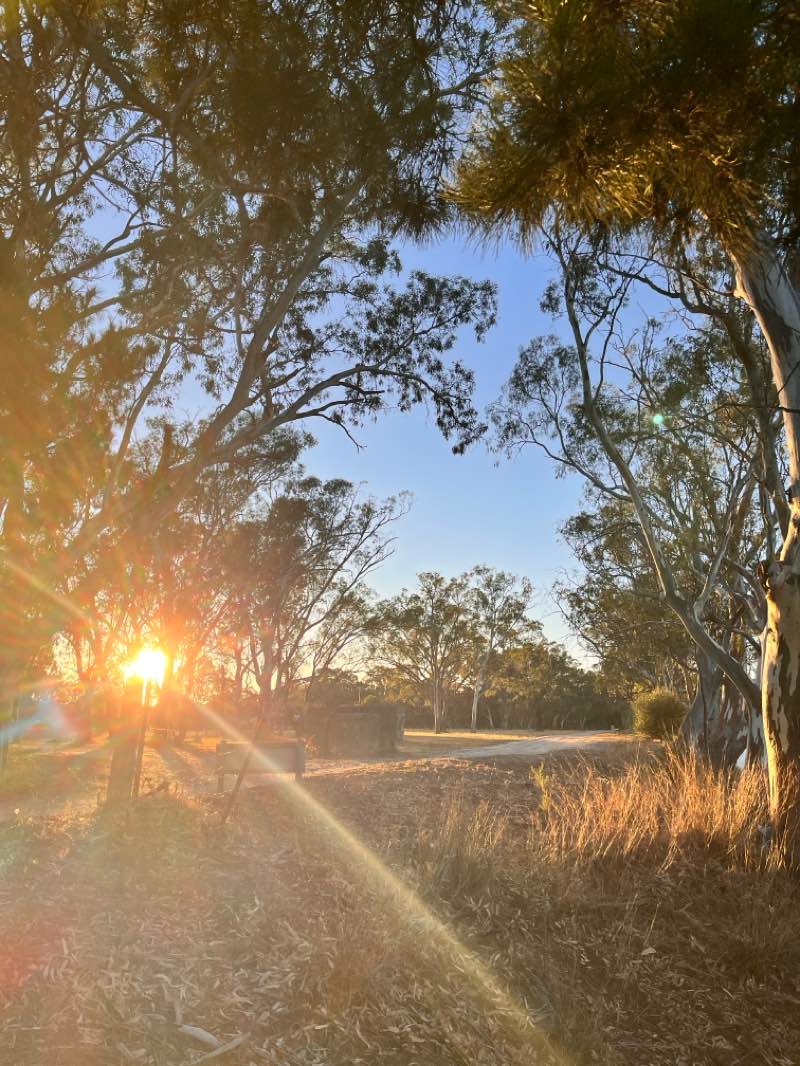 walking near me in Wimmera River Heritage Area (future addition) Park in autumn