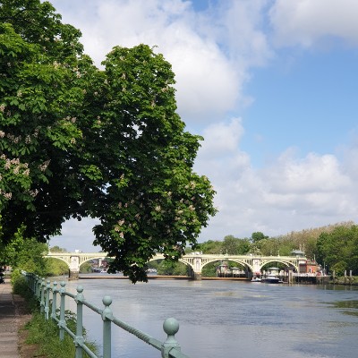 Blue group Tilly post image