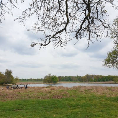 Blue group Tilly post image