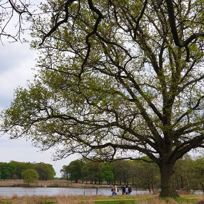 Blue group Tilly post image