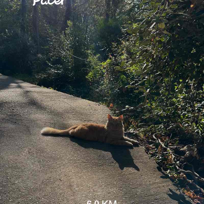 Татьяна post 1