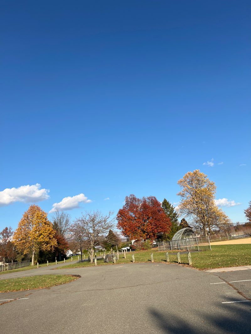walking near me in Sondek Park in autumn