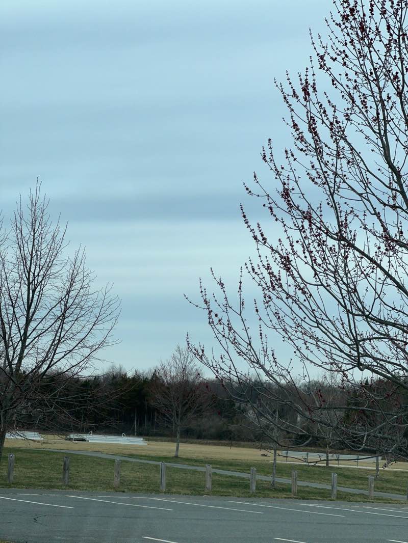 walking near me in Middlebush Park in spring