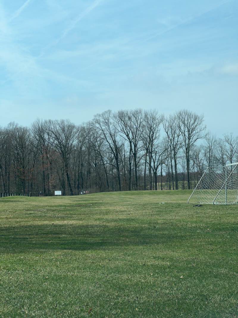 walking near me in Sondek Park in spring
