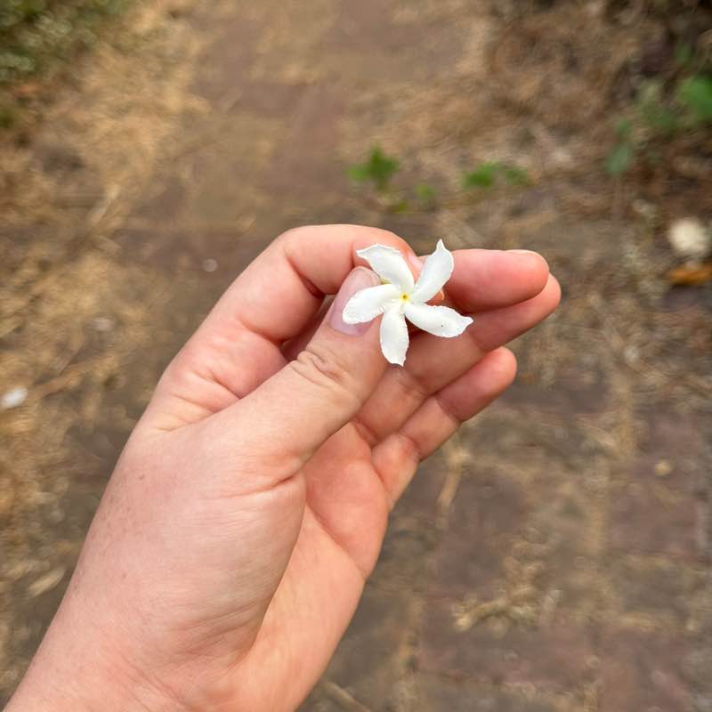 Виктория 🚀 post 2