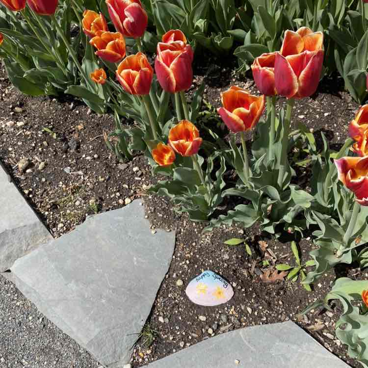 Maria McSweeney post 1