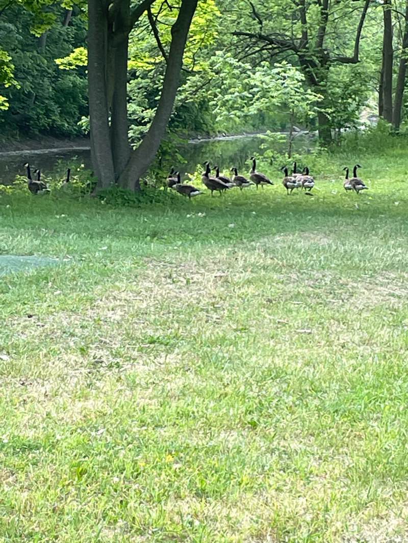 walking near me in Veteran's Park in winter