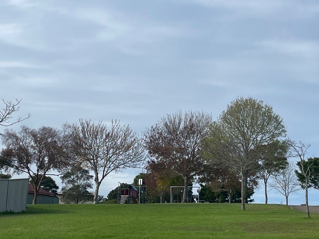 walking near me in Highland Crescent Reserve in winter