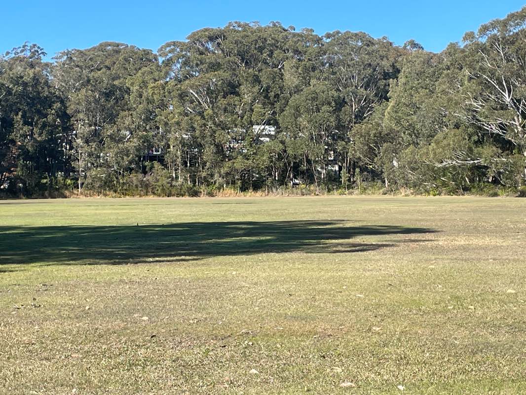 walking near me in McCann Park in winter