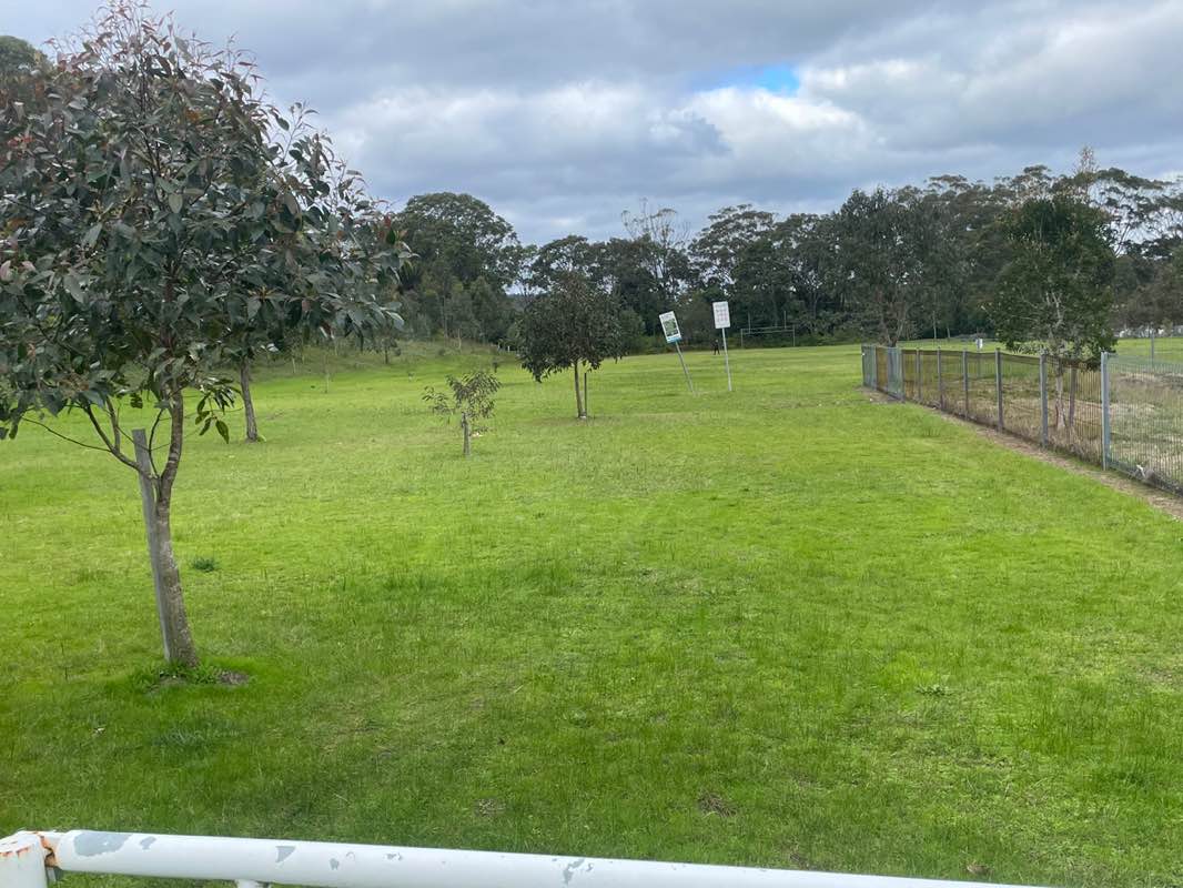 walking near me in Tom Odwyer Memorial Oval in winter