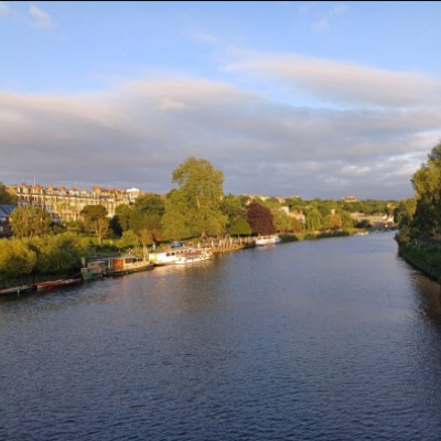 Green team Paula post image