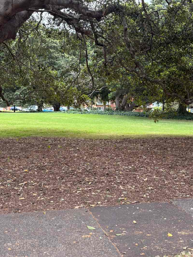 walking near me in Market Square in autumn