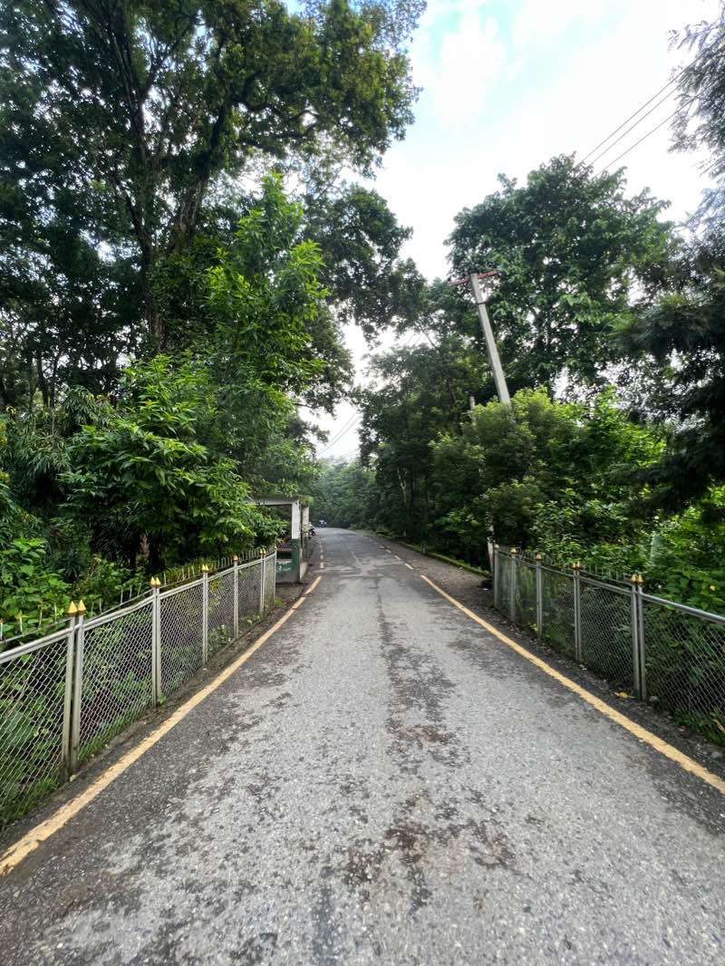 walking near me in Narayani Park in winter