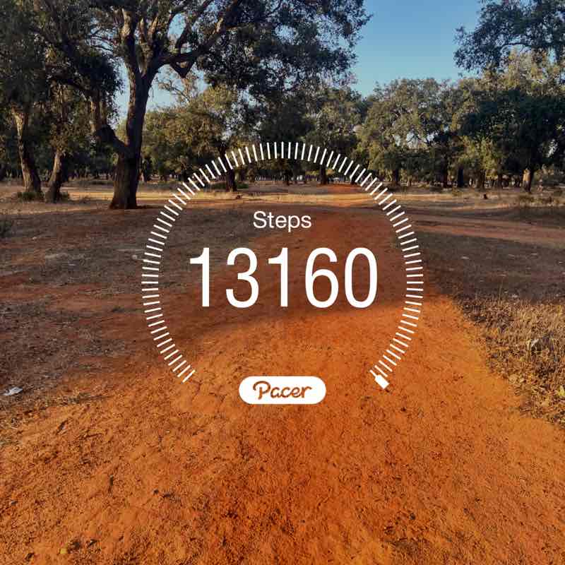 Tomas 🇸🇰 post 1