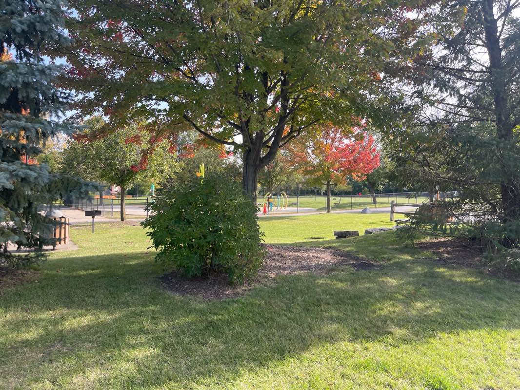 walking near me in Merchants Park in autumn
