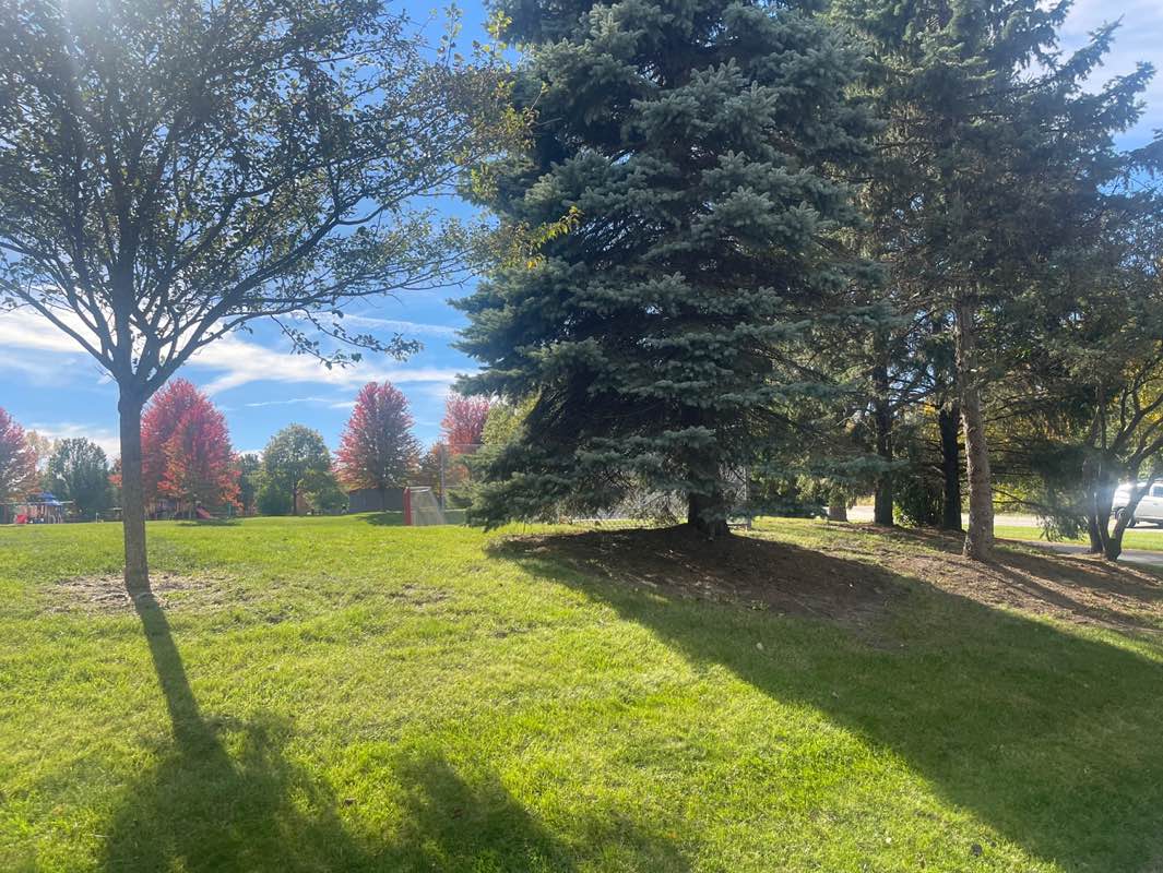 walking near me in Millennium Park in autumn