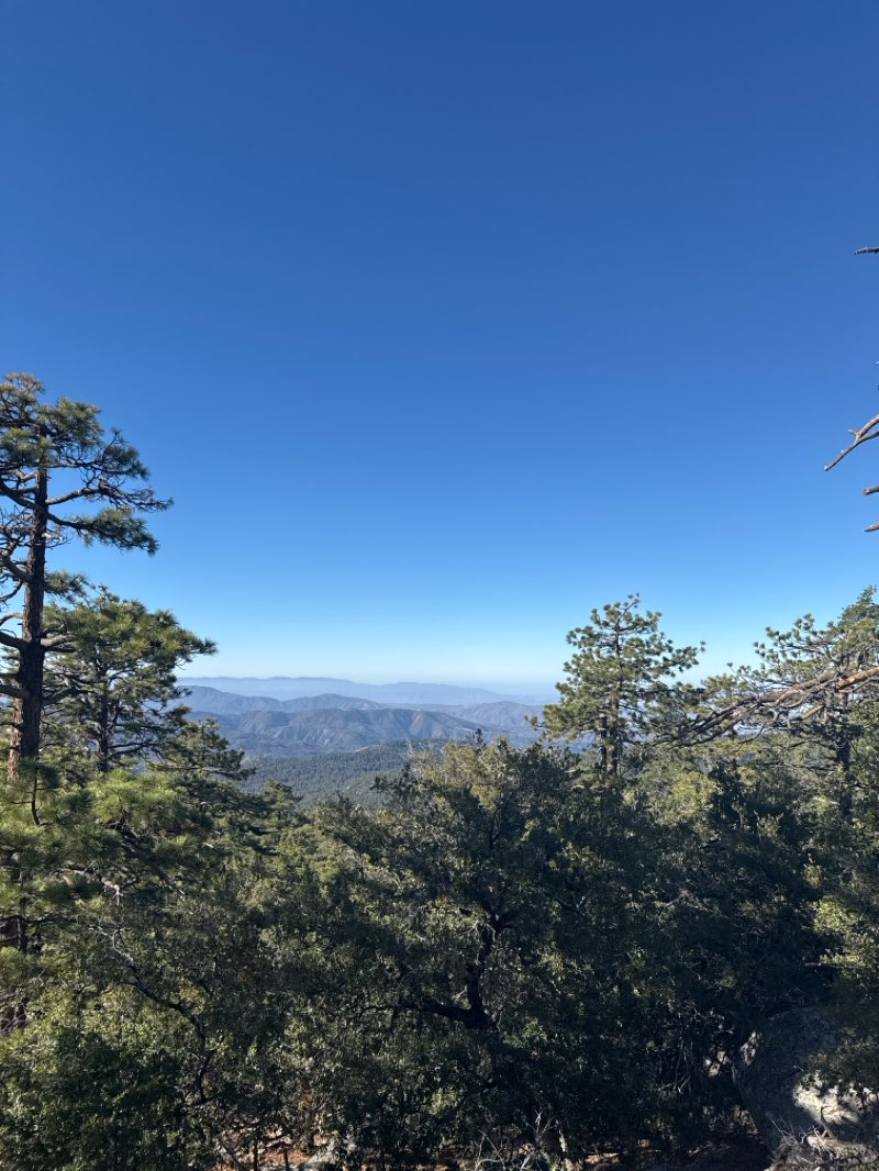 walking near me in Mount San Jacinto State Park in autumn