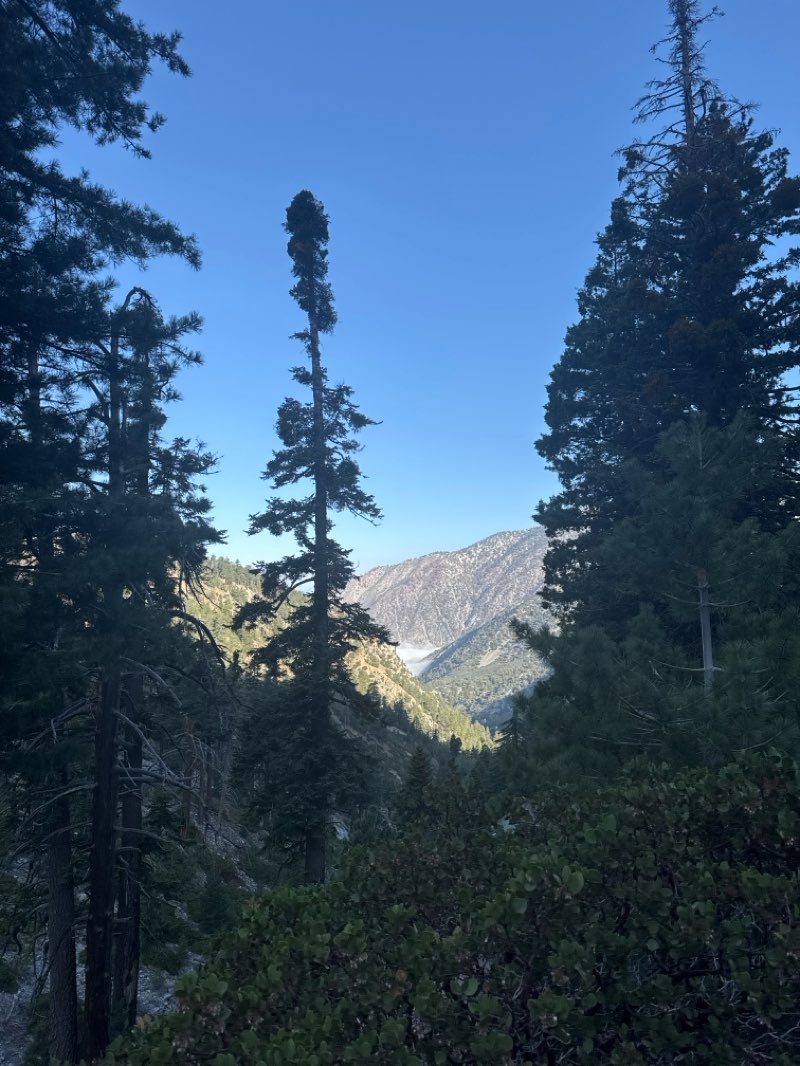 walking near me in Cucamonga Wilderness in spring