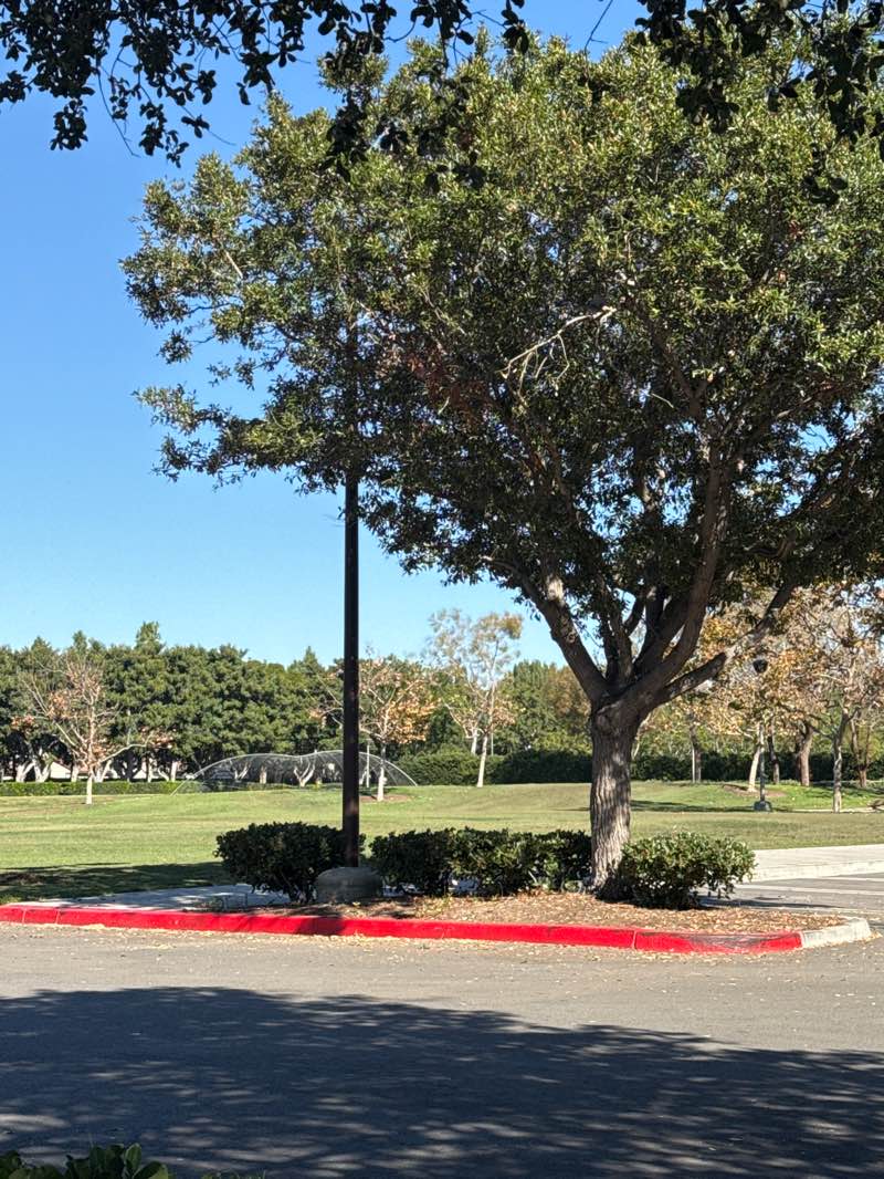 walking near me in Oak Creek Community Park in autumn