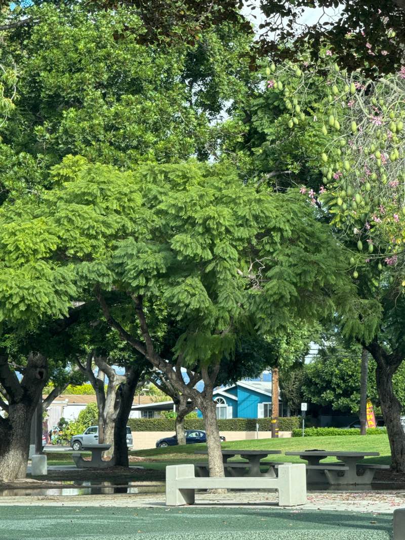 walking near me in Madison Park in autumn