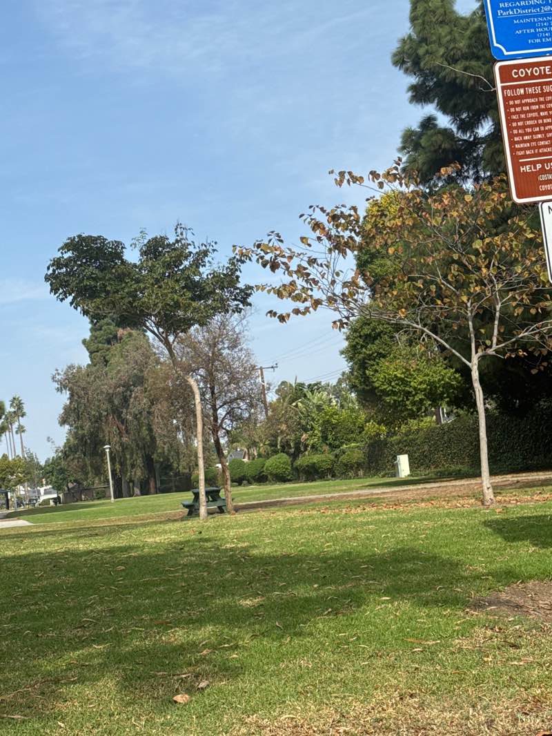 walking near me in Paularino Park in autumn