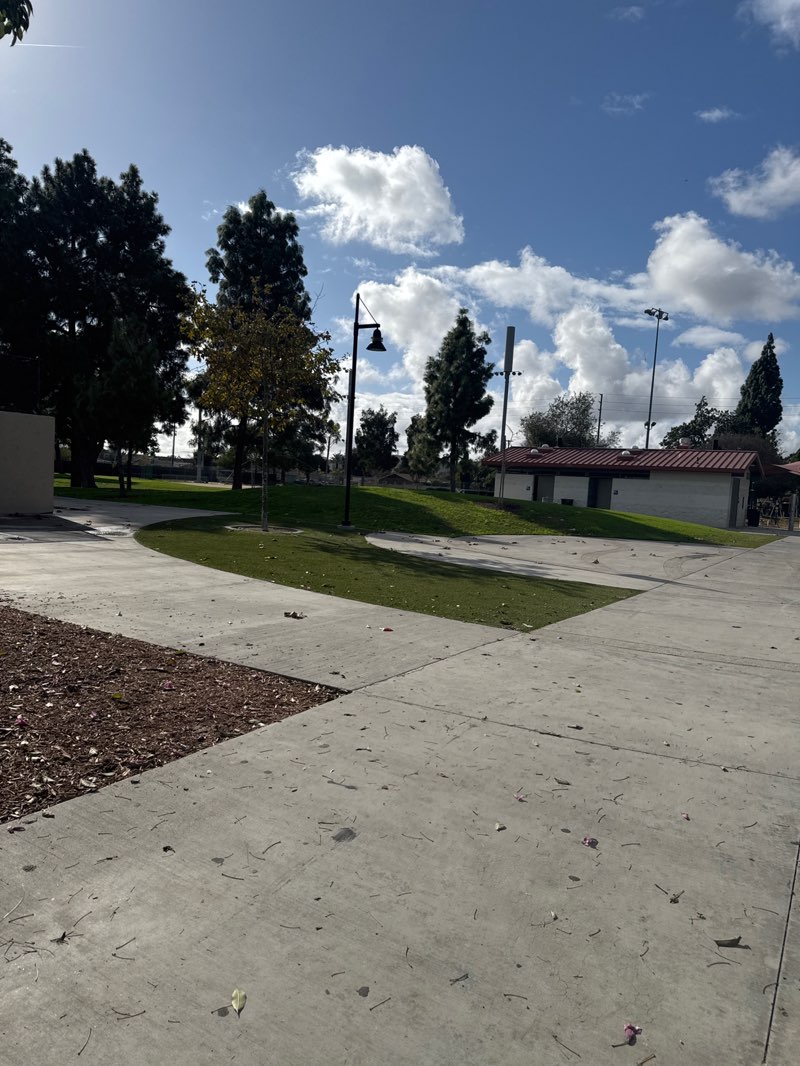 walking near me in Ponderosa Park in winter